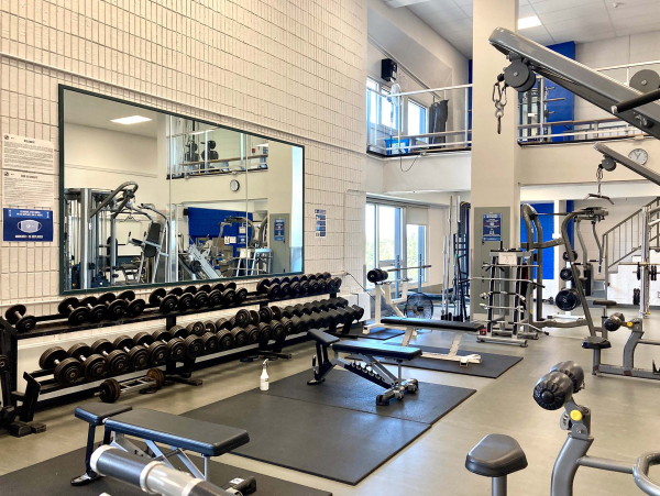 Gym Cégep de Matane